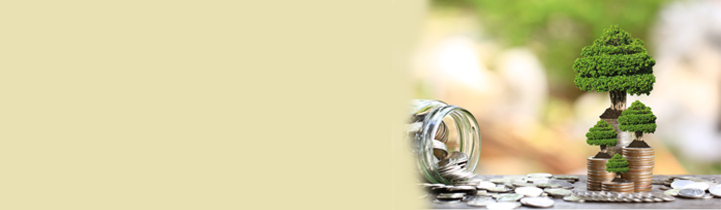 NRI’s Guide to Invest In Indian Mutual Fund